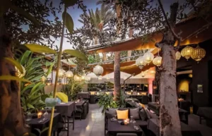 Aménagement Terrasse & Rooftop Marrakech _ Jardinier Végétalisation Urbaine (1)